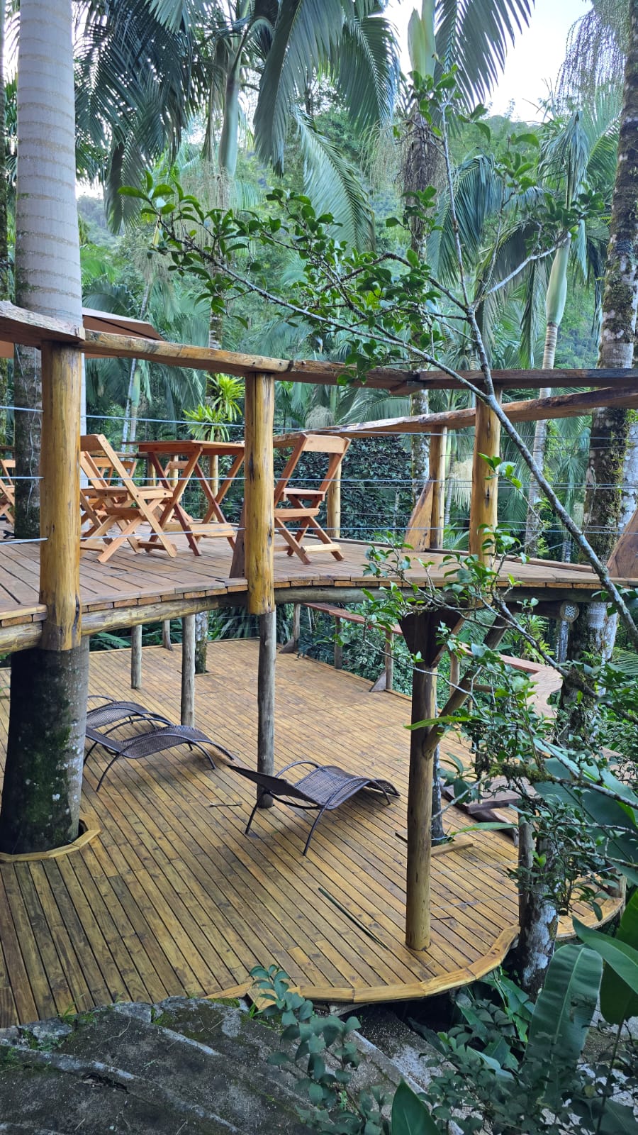 WhatsApp Image 2025-08-09 at 10.28.03 PM