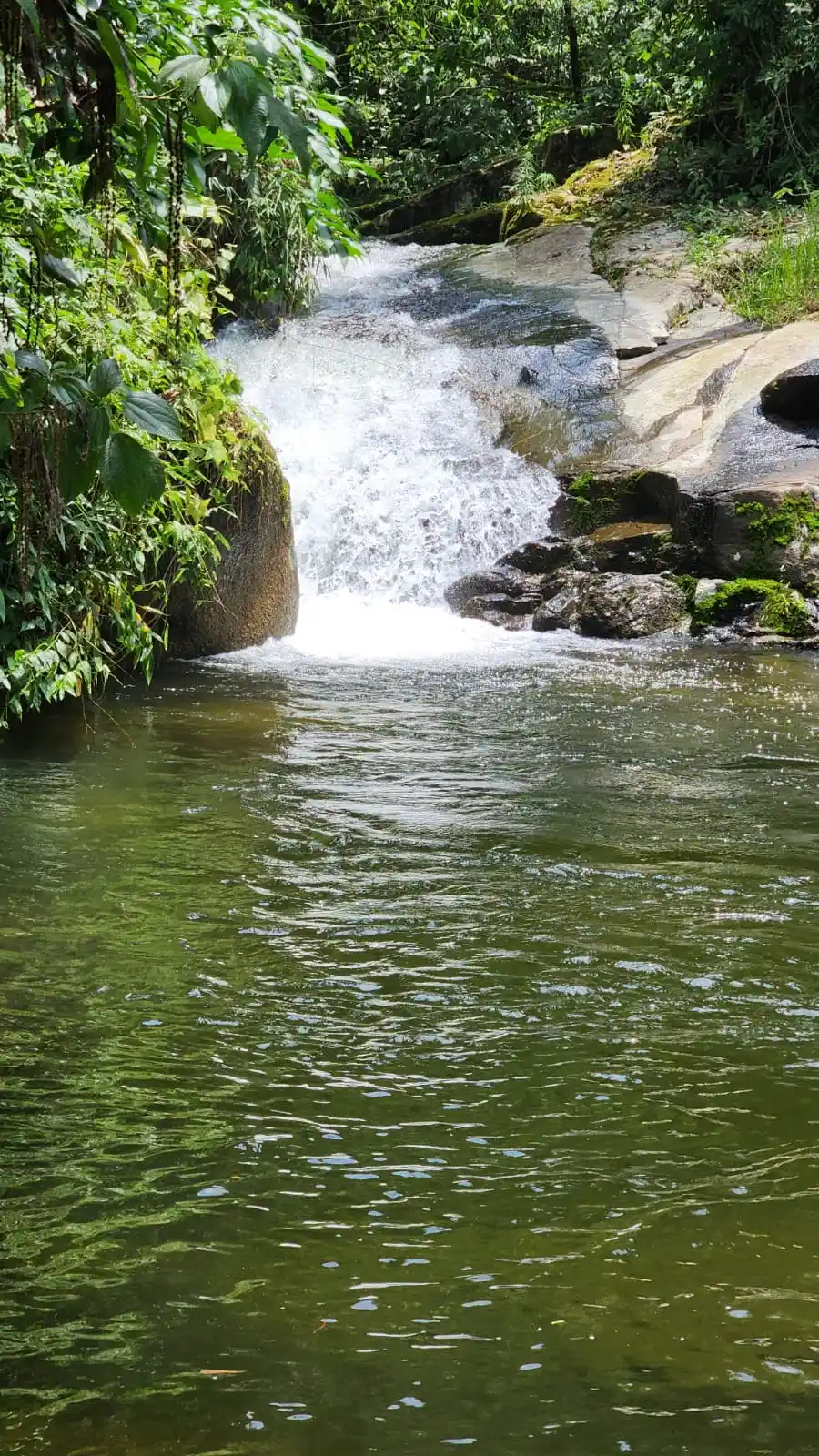 WhatsApp Image 2025-08-09 at 10.28.45 PM (1)