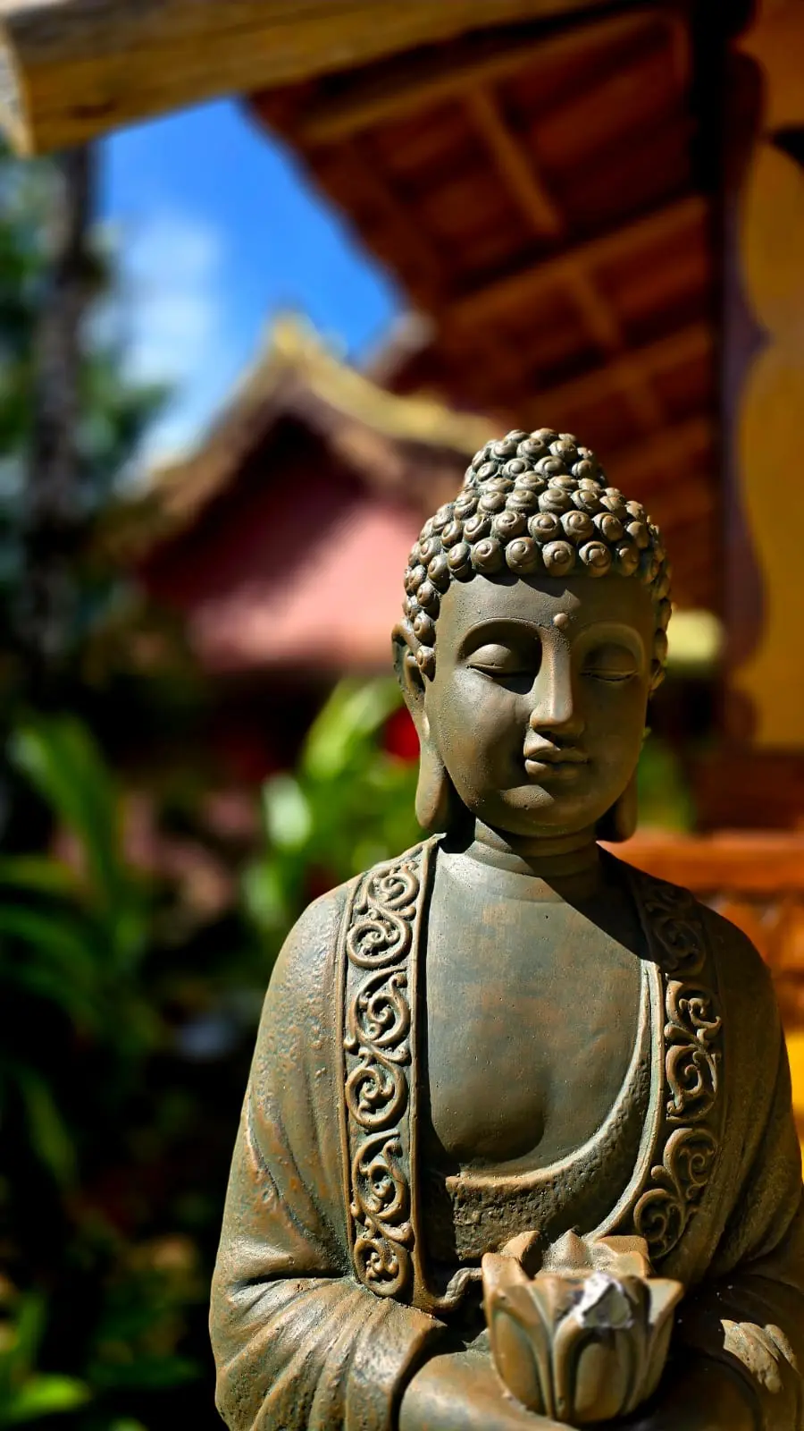 WhatsApp Image 2025-08-09 at 10.30.08 PM (2)