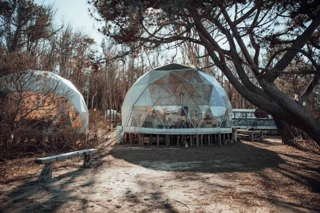 299DF213-0905-40FE-AFBF-753D02B29F7A