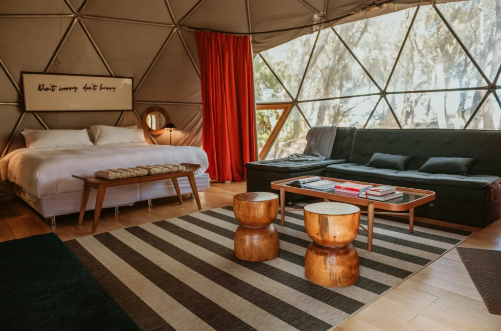 imgi_16_domo-redok-scaled