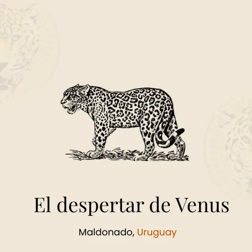 EL DESPERTAR